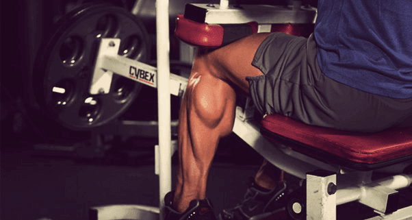 EATED CALF RAISE: HOW TO, BENEFITS, WORKOUT
