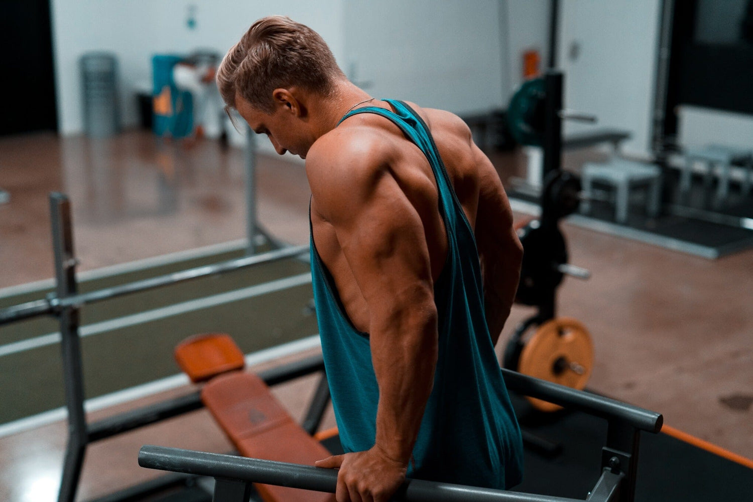How To Use A Seated Dip Machine?