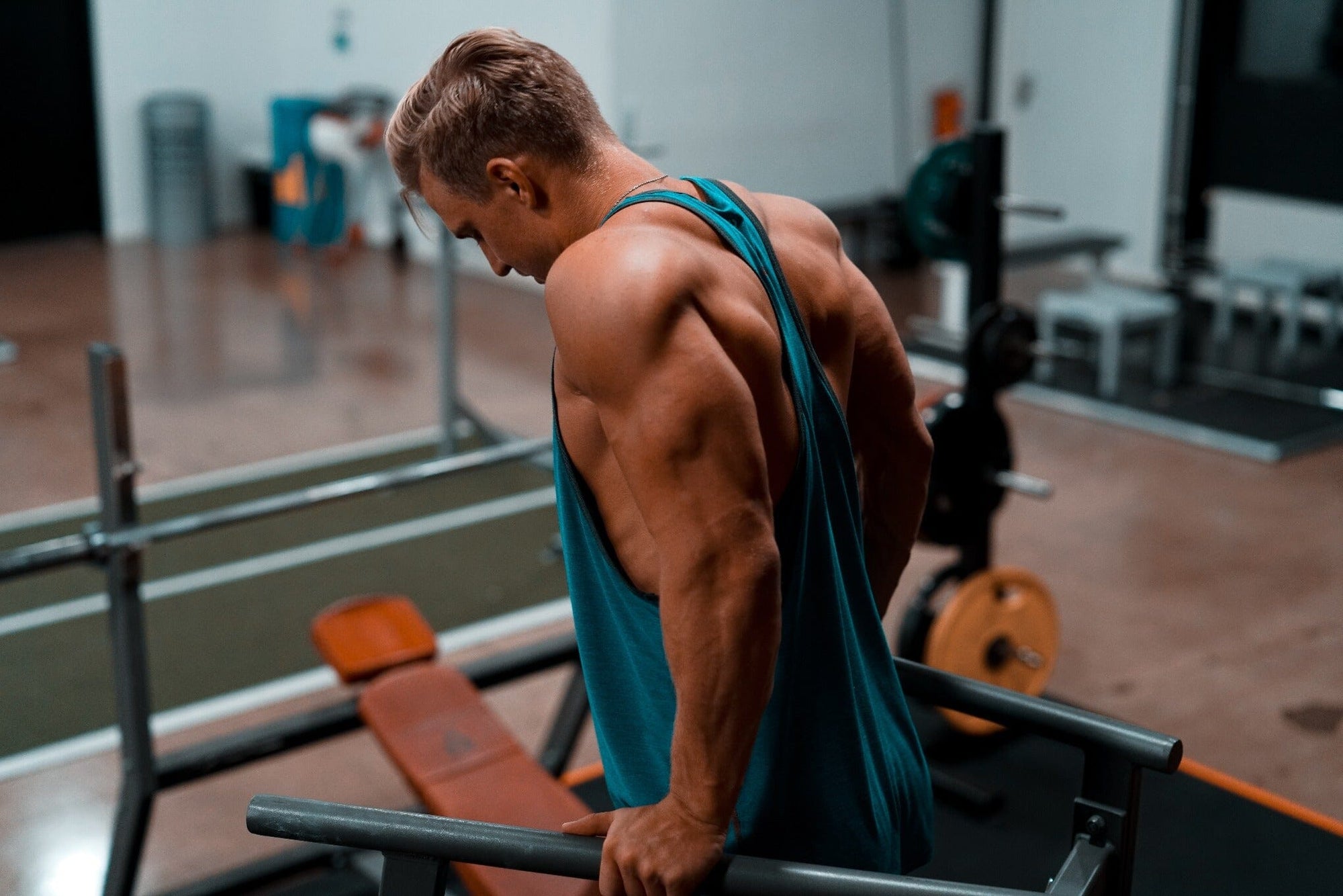 How To Use A Seated Dip Machine?